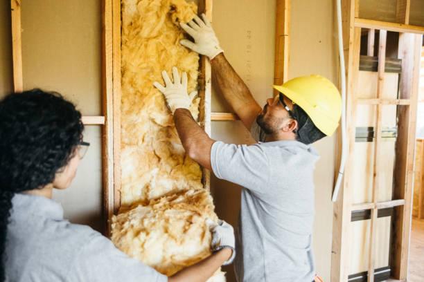 Types of Insulation We Offer in Horatio, AR